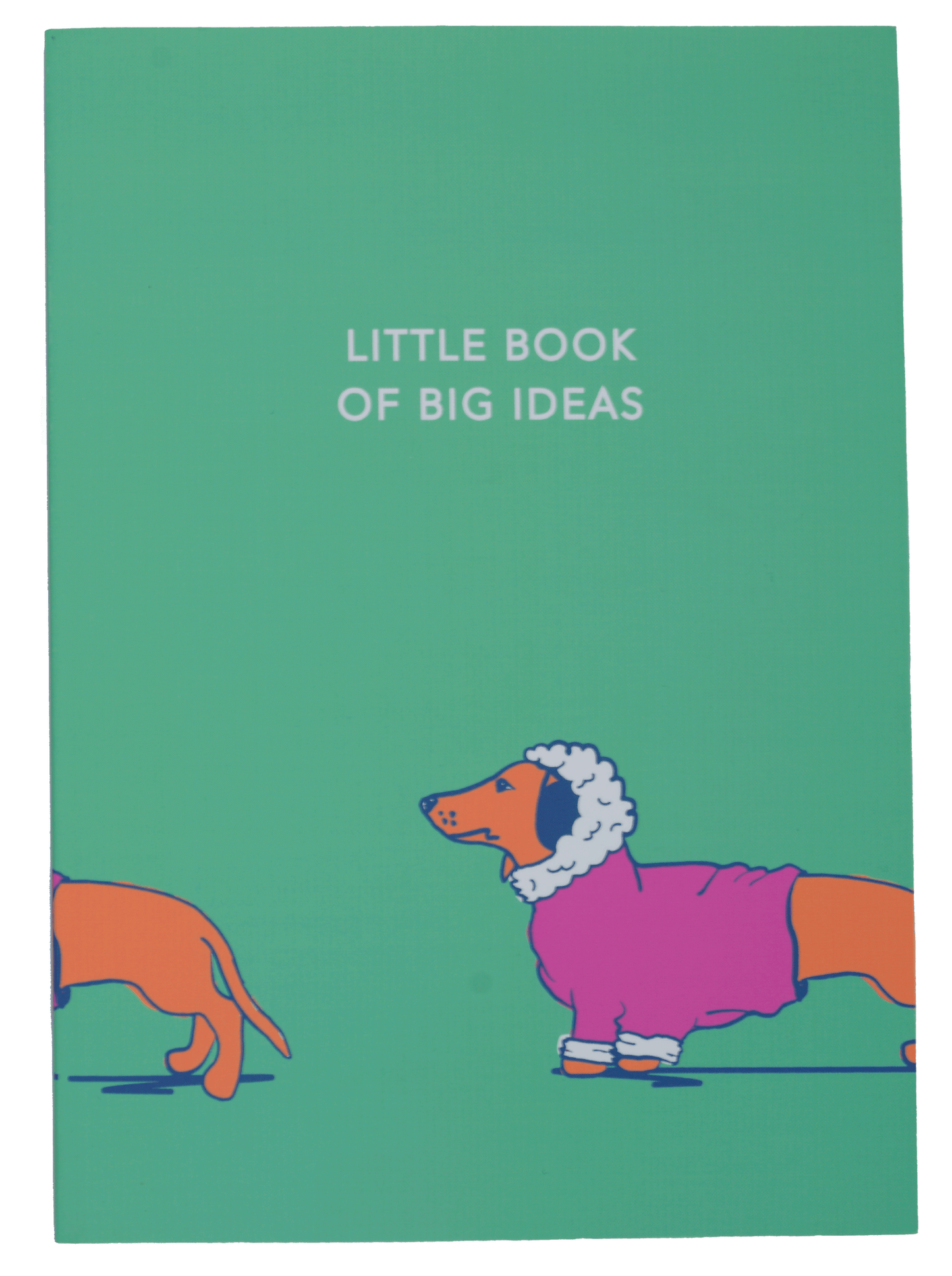 Little Big Ideas Notebook