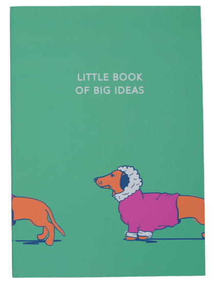 Little Big Ideas Notebook