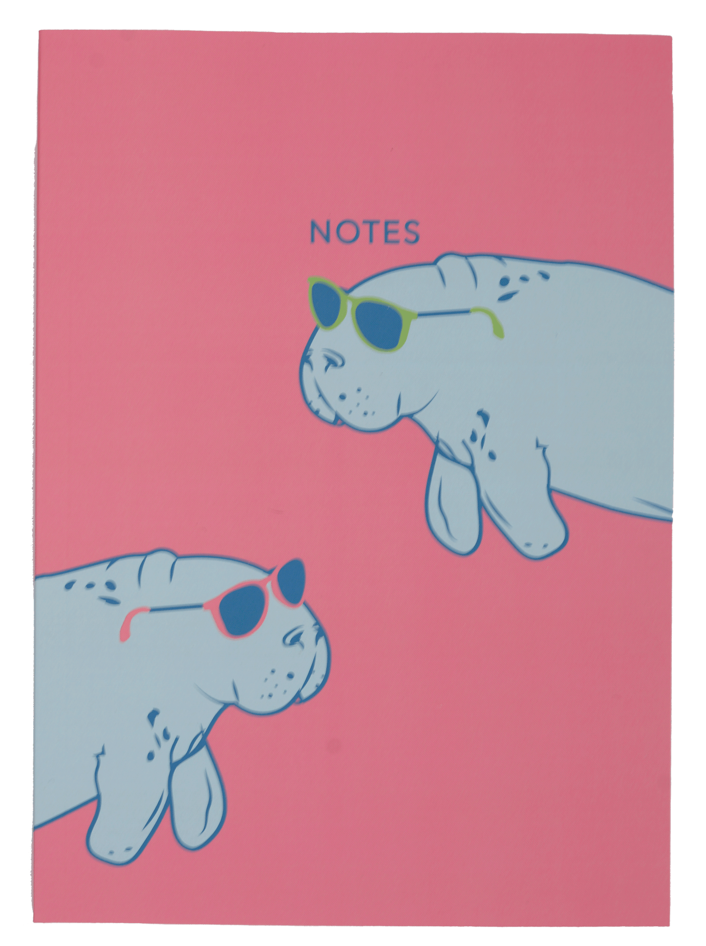 Shady Manatees Notebook